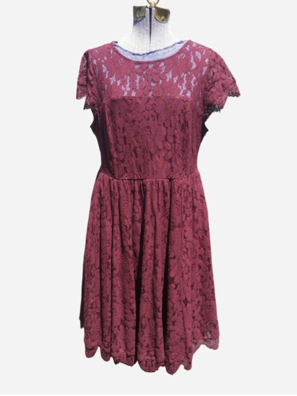 torrid Lace Fit & Flare Mini Dress in Wine